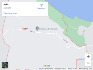 Pakiri Auto Glass & Windscreen Replacement