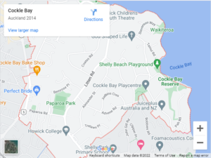 Cockle Bay Auto Glass & Windscreen Replacement