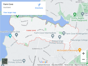 Farm Cove Auto Glass & Windscreen Replacement