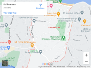 Kohimarama Auto Glass & Windscreen Replacement