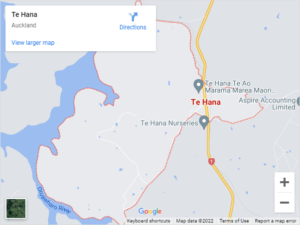 Te Hana Auto Glass & Windscreen Replacement