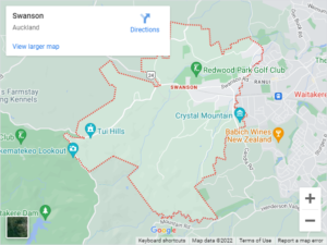 Swanson Auto Glass & Windscreen Replacement