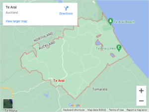 Te Arai Auto Glass & Windscreen Replacement