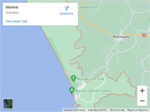 Muriwai Auto Glass & Windscreen Replacement