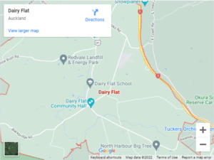 Dairy Flat Auto Glass & Windscreen Replacement