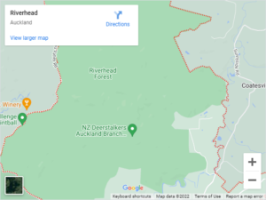 Riverhead Auto Glass & Windscreen Replacement