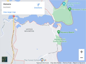 Waiwera Auto Glass & Windscreen Replacement