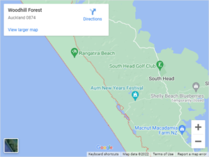 Woodhill Forest Auto Glass & Windscreen Replacement