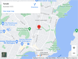 Tamaki Auto Glass & Windscreen Replacement