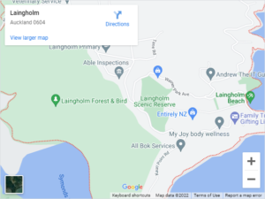 Laingholm Auto Glass & Windscreen Replacement