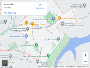 Somerville Auto Glass & Windscreen Replacement