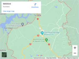 Wellsford Auto Glass & Windscreen Replacement