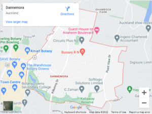 Dannemora Auto Glass & Windscreen Replacement