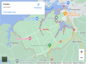 Karaka Auto Glass & Windscreen Replacement