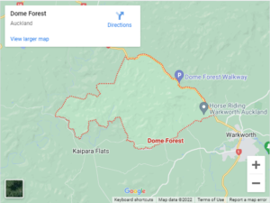 Dome Forest Auto Glass & Windscreen Replacement