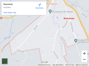 Runciman Auto Glass & Windscreen Replacement