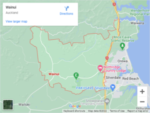 Wainui Auto Glass & Windscreen Replacement